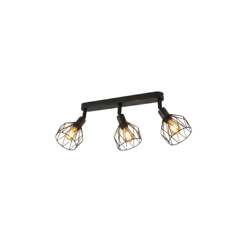 Black Iron LED Ceiling Light