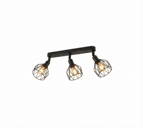 Black Iron LED Ceiling Light