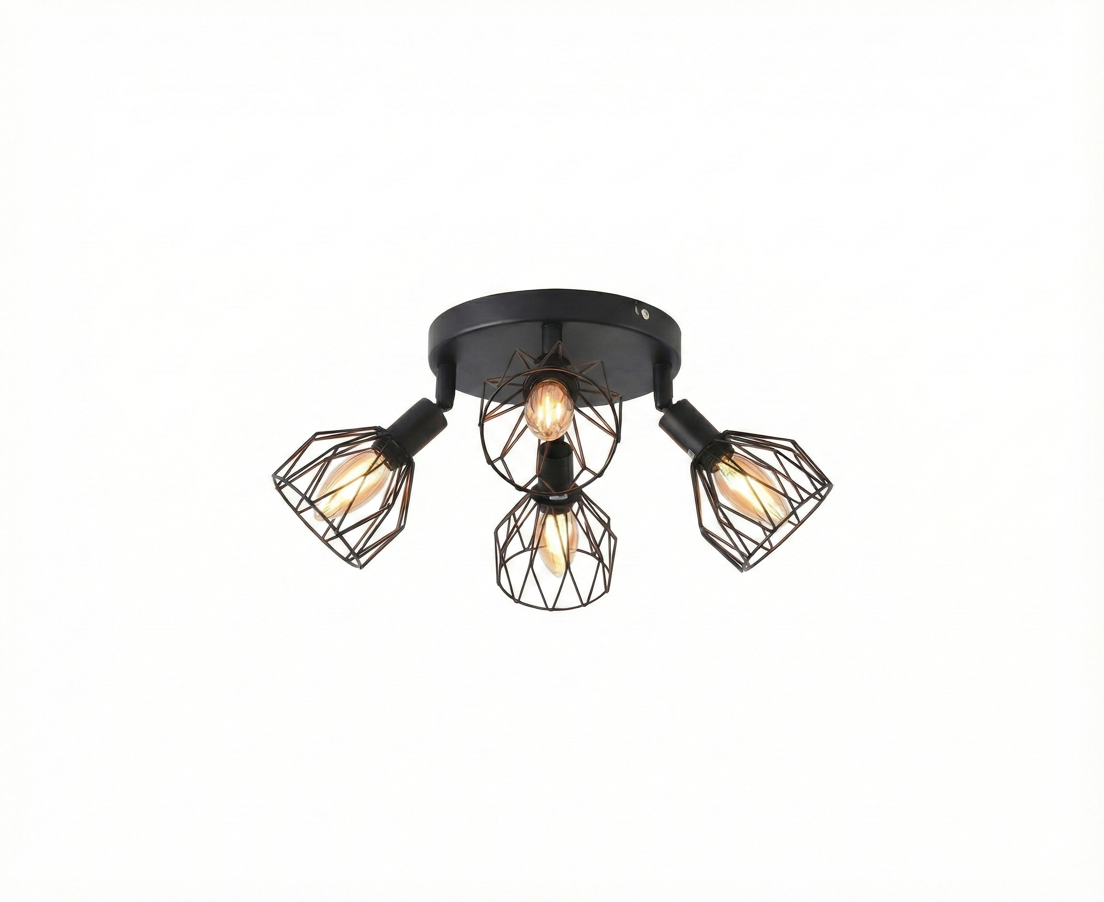 Black Iron LED Ceiling Light