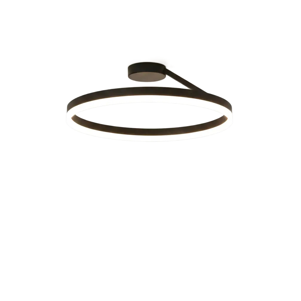 Modern LED Ring Ceiling Light