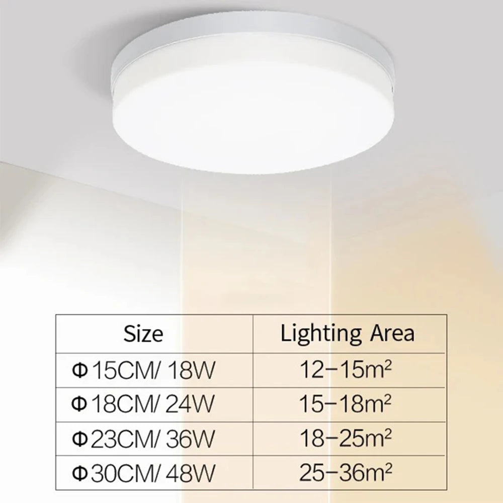 Minimalist LED Flush Ceiling Light